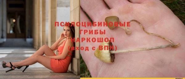 а пвп мука Алексеевка