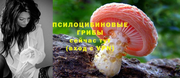 ALPHA PVP Алзамай