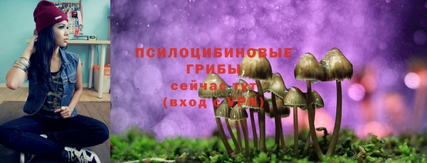 а пвп мука Алексеевка