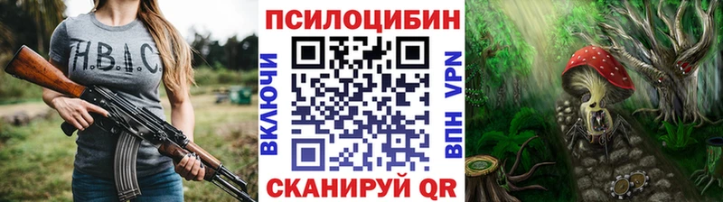купить наркотик  Боровск  Псилоцибиновые грибы MAGIC MUSHROOMS 